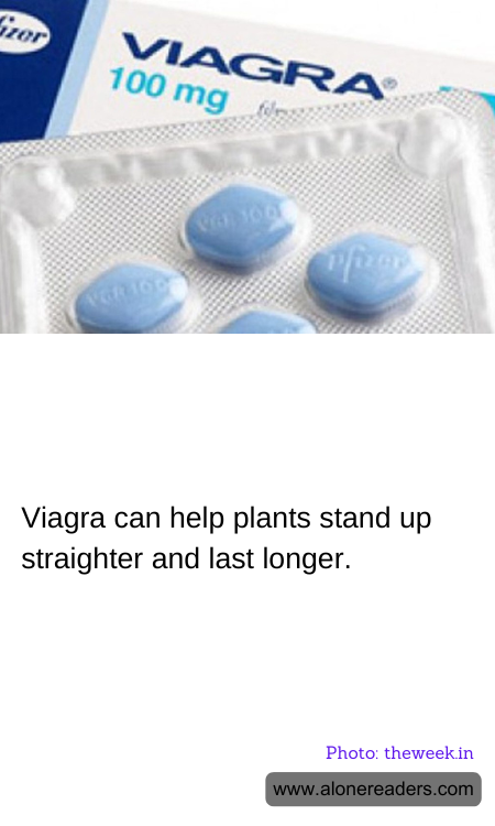 General Knowledge Learning Cards