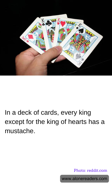 General Knowledge Learning Cards