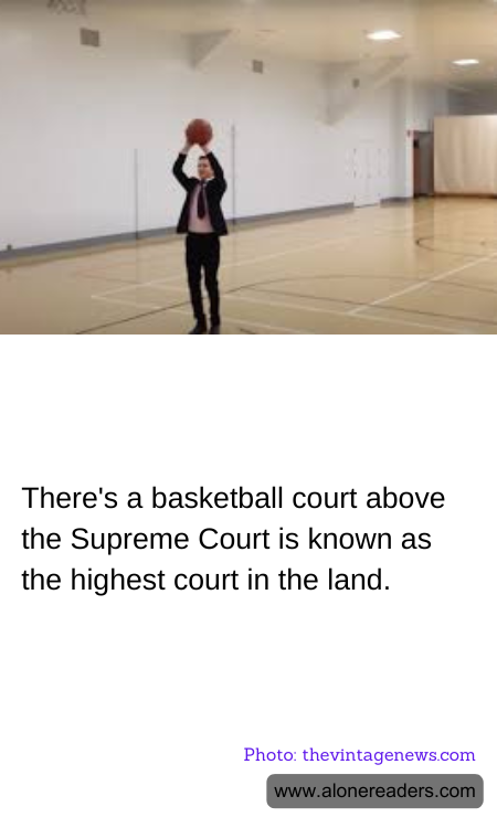 General Knowledge Learning Cards