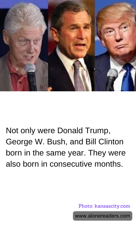 General Knowledge Learning Cards