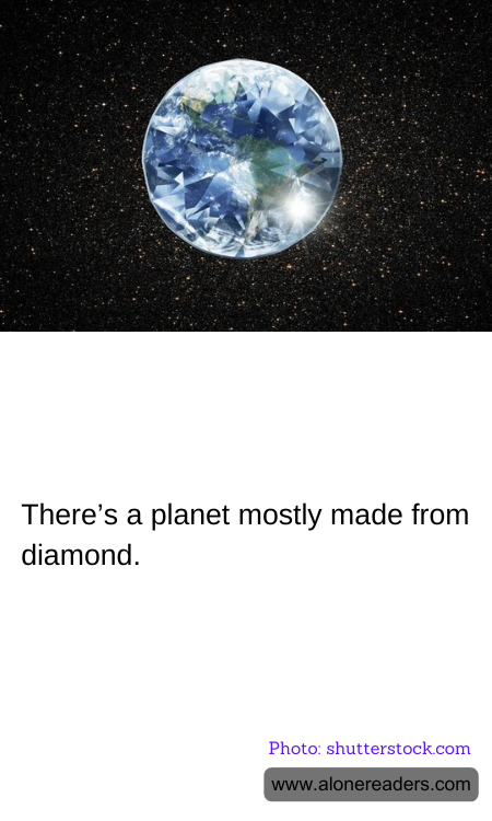 General Knowledge Learning Cards