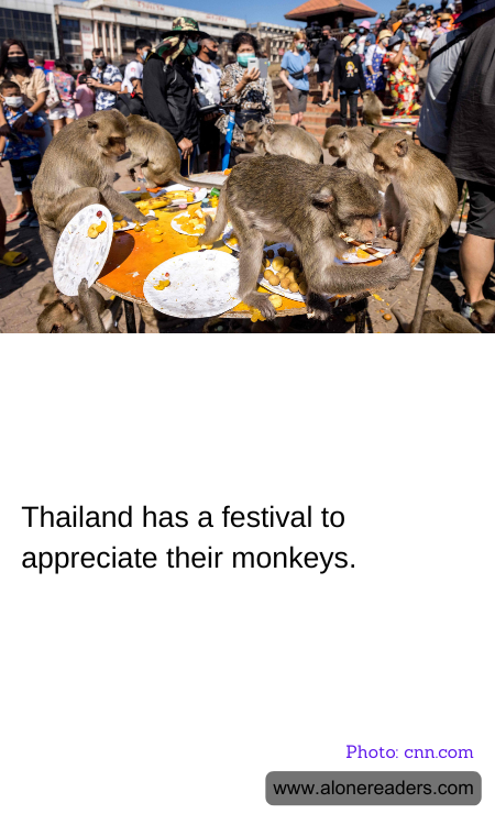Thailand has a festival to appreciate their monkeys.
