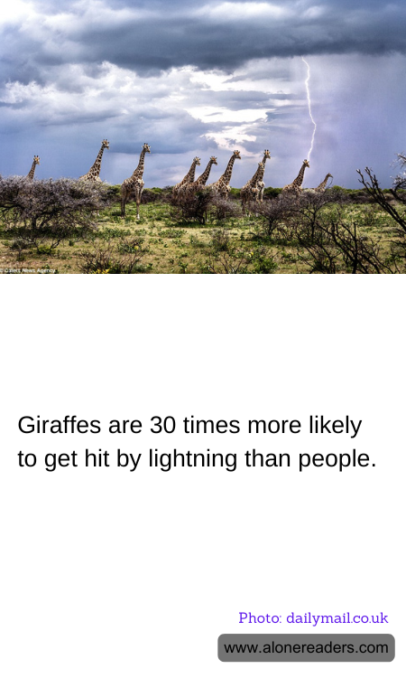 General Knowledge Learning Cards