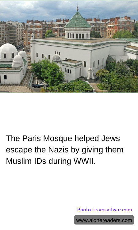 General Knowledge Learning Cards