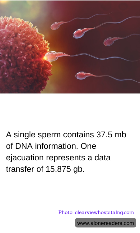 General Knowledge Learning Cards