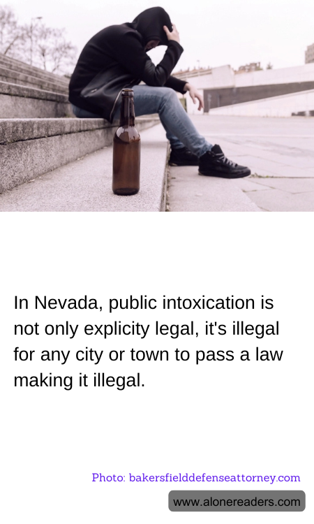 General Knowledge Learning Cards