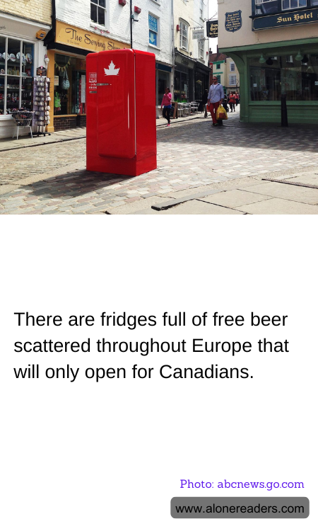 General Knowledge Learning Cards