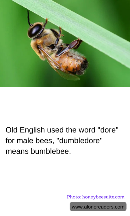 General Knowledge Learning Cards