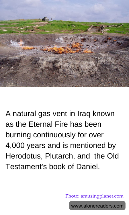 General Knowledge Learning Cards