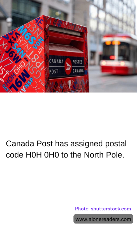 General Knowledge Learning Cards