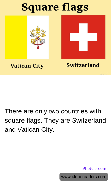 General Knowledge Learning Cards