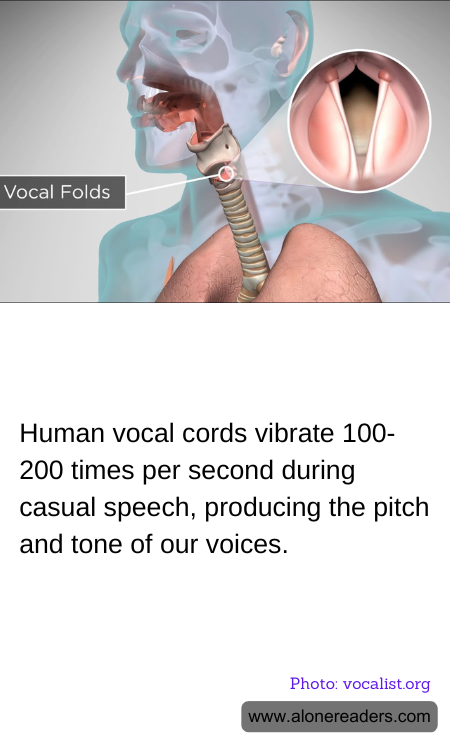 General Knowledge Learning Cards