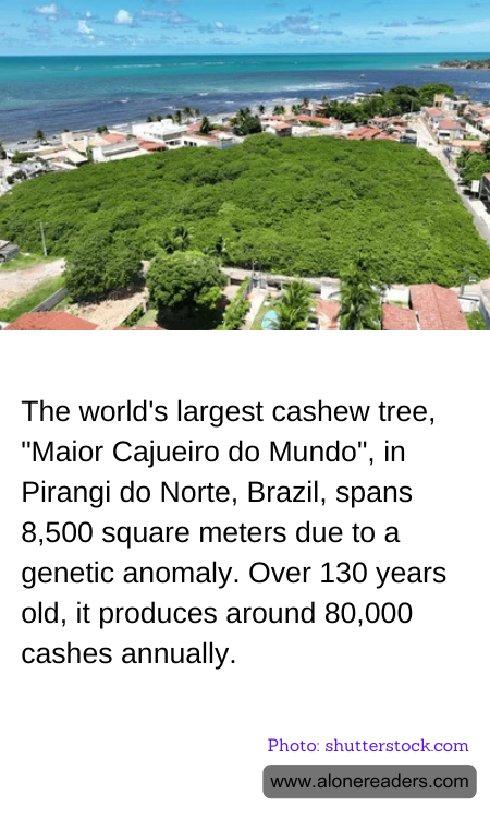 General Knowledge Learning Cards