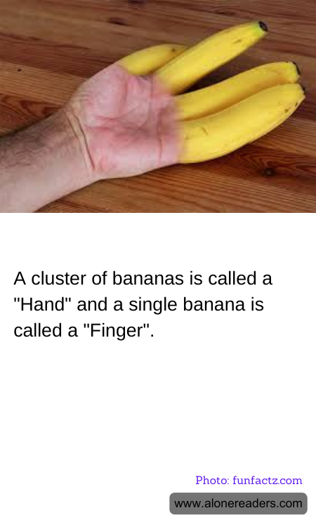 General Knowledge Learning Cards