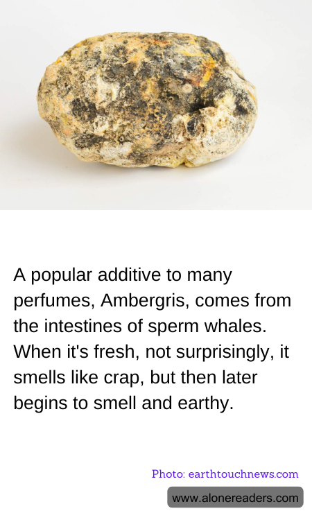 A popular additive to many perfumes, Ambergris, comes from the intestines of sperm whales. When it's fresh, not surprisingly, it smells like crap, but then later begins to smell and earthy.