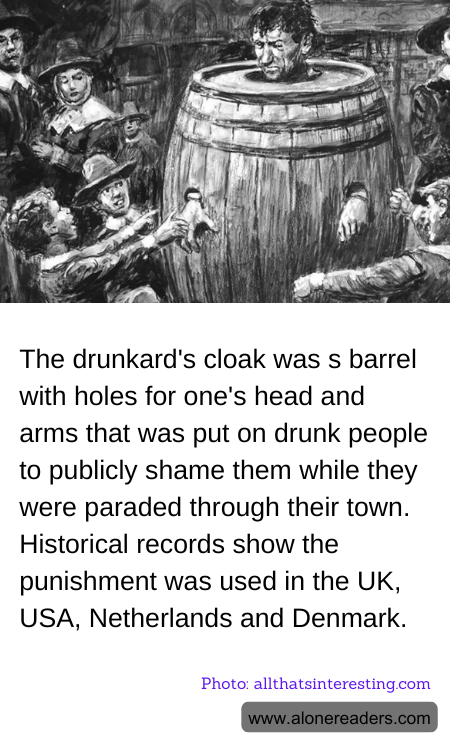 General Knowledge Learning Cards