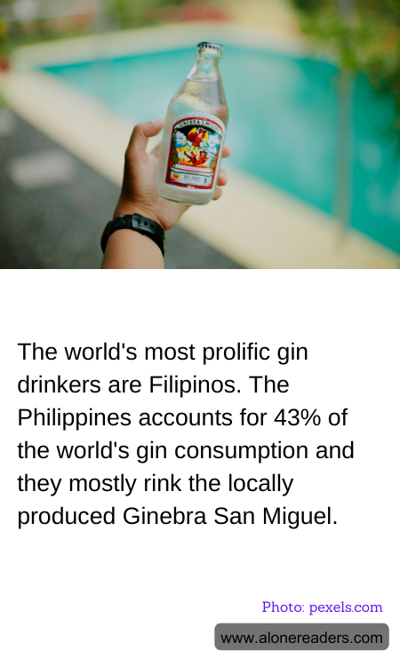 General Knowledge Learning Cards