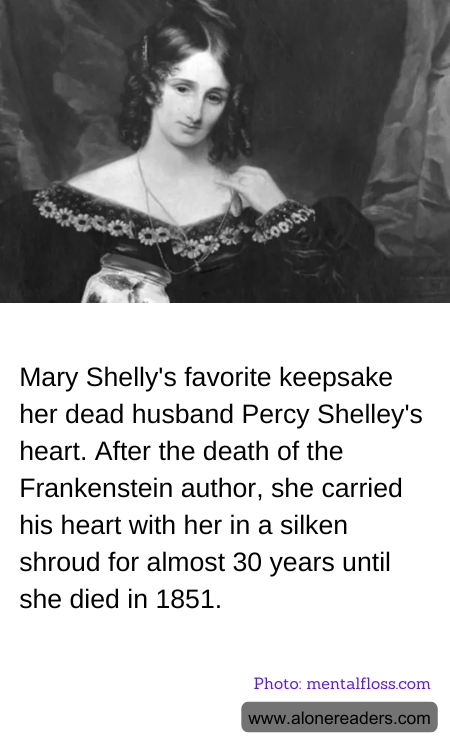 General Knowledge Learning Cards