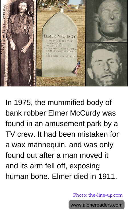 General Knowledge Learning Cards