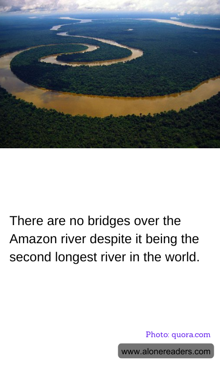 General Knowledge Learning Cards