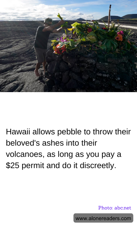 General Knowledge Learning Cards