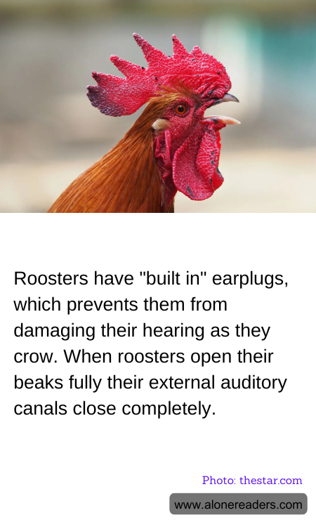 General Knowledge Learning Cards