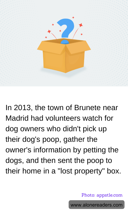 General Knowledge Learning Cards