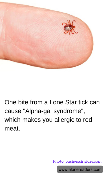 General Knowledge Learning Cards