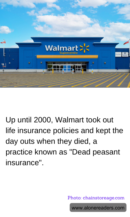 General Knowledge Learning Cards