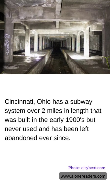 General Knowledge Learning Cards