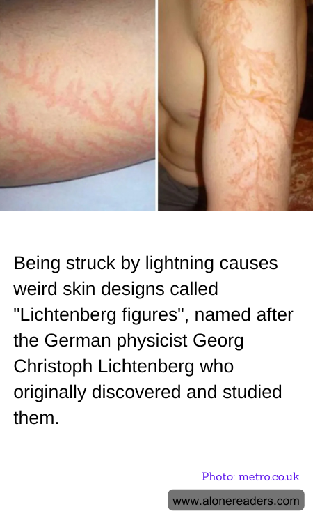 General Knowledge Learning Cards