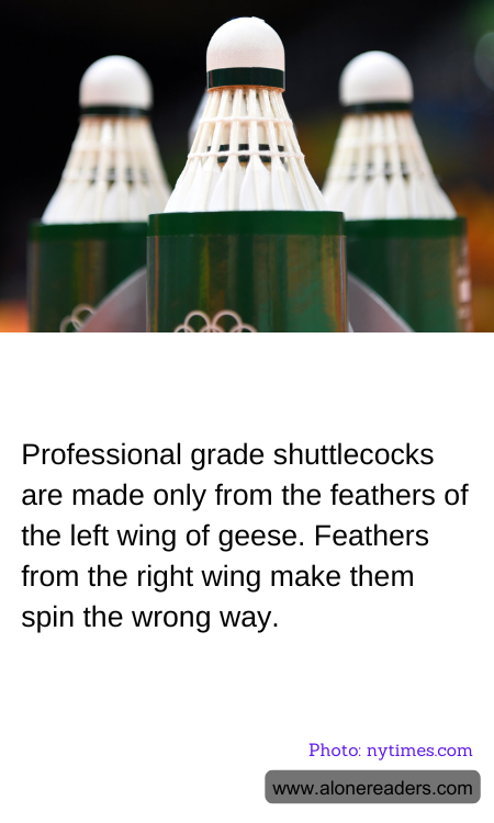 General Knowledge Learning Cards