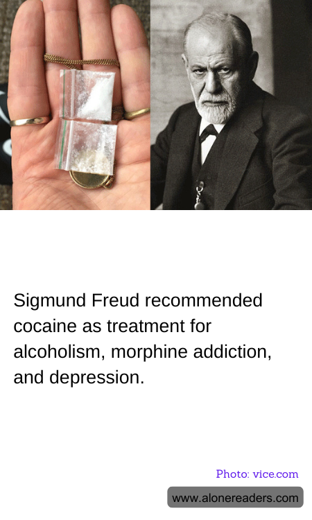 General Knowledge Learning Cards