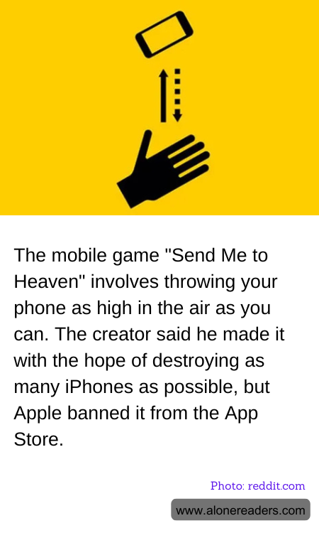 General Knowledge Learning Cards