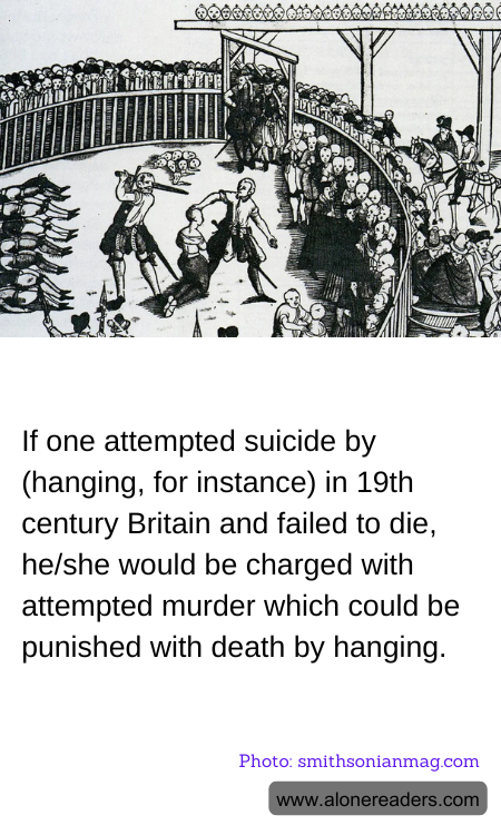 General Knowledge Learning Cards