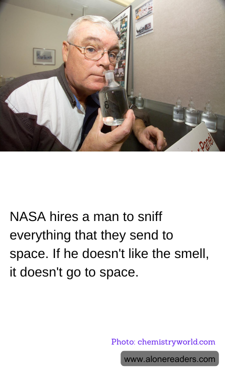 General Knowledge Learning Cards