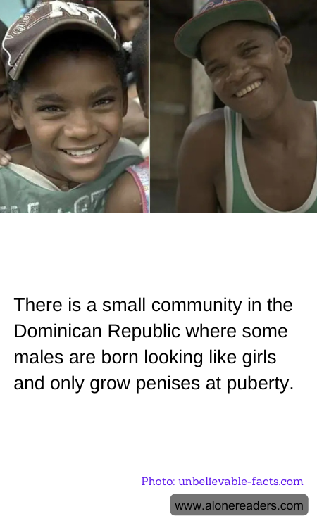 General Knowledge Learning Cards