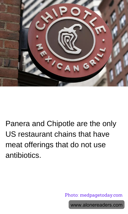 General Knowledge Learning Cards