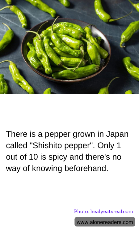 General Knowledge Learning Cards