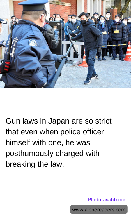 General Knowledge Learning Cards