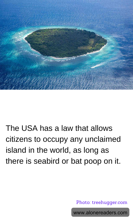 General Knowledge Learning Cards