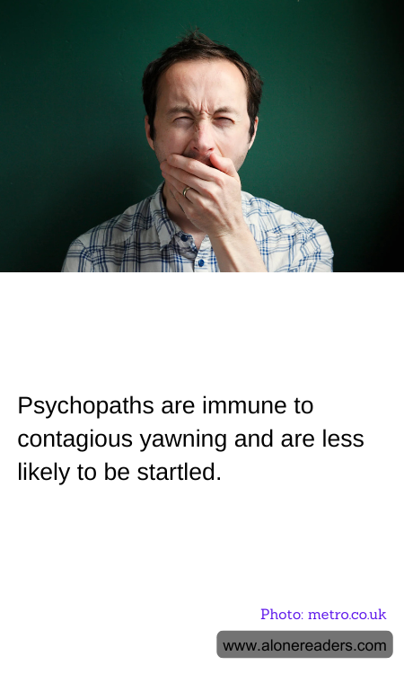 General Knowledge Learning Cards