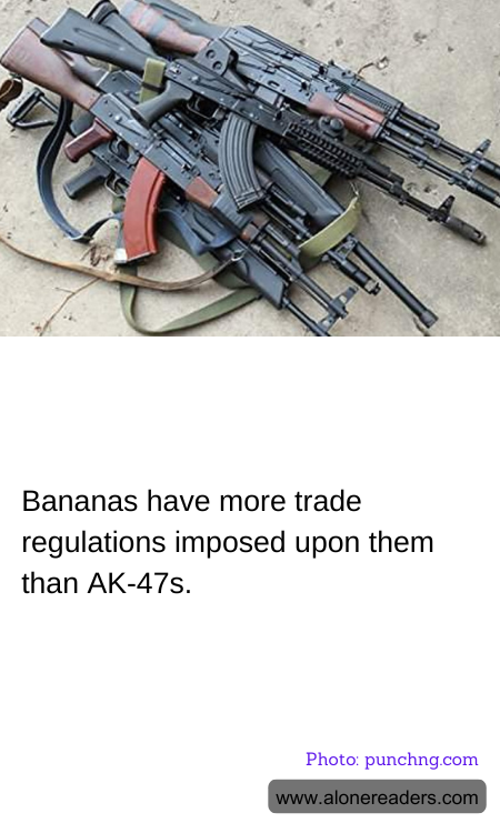 General Knowledge Learning Cards