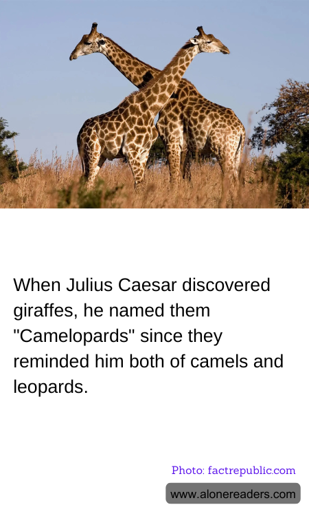 General Knowledge Learning Cards