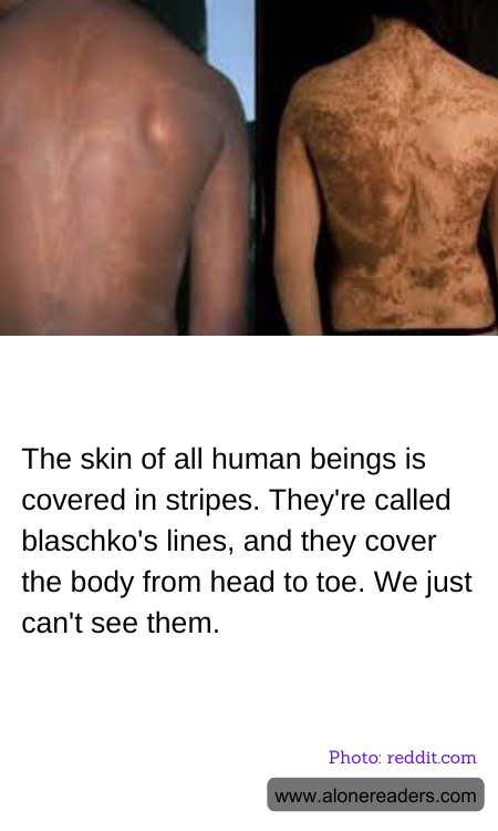 General Knowledge Learning Cards