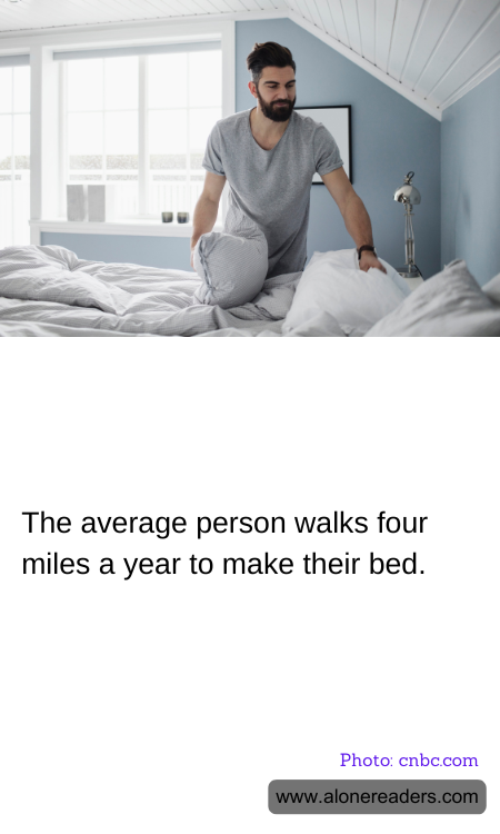 General Knowledge Learning Cards