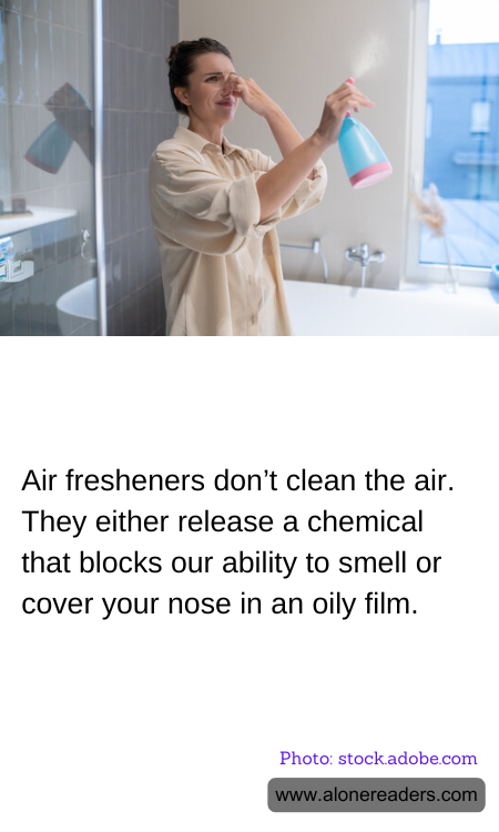 General Knowledge Learning Cards