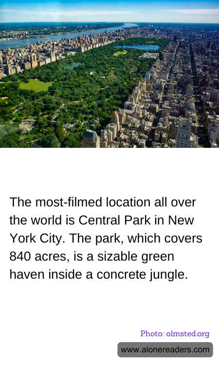 General Knowledge Learning Cards