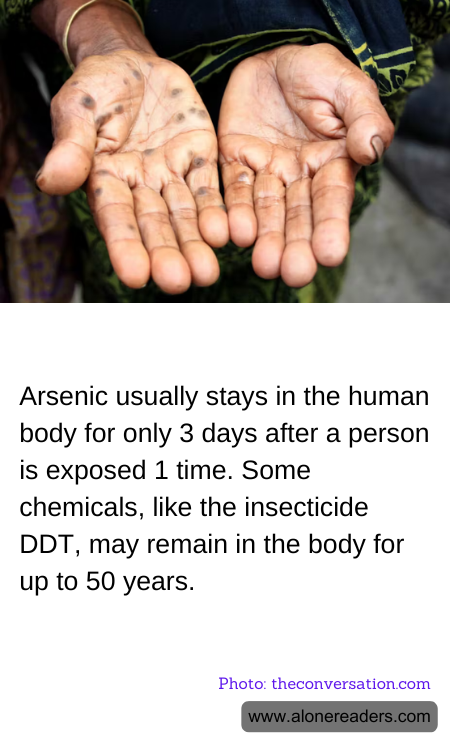 General Knowledge Learning Cards