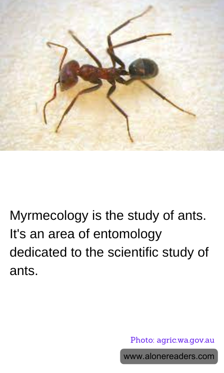 General Knowledge Learning Cards